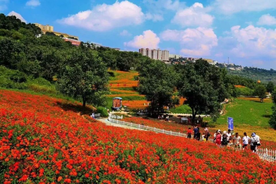 药王山原称, 深度体验这, 娱乐为一体